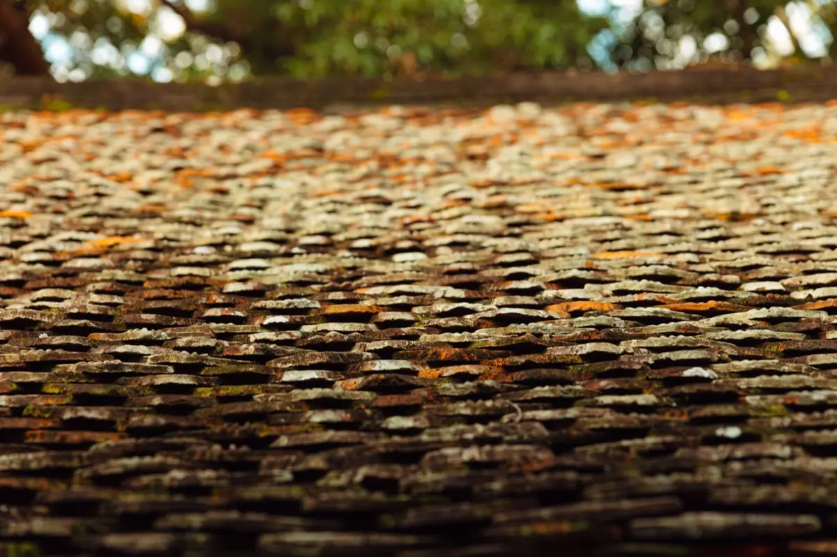 Aging shingle roof with moss growth and granule loss in Las Cruces, NM